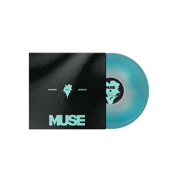 BTS JIMIN MUSE LP 黑膠唱片