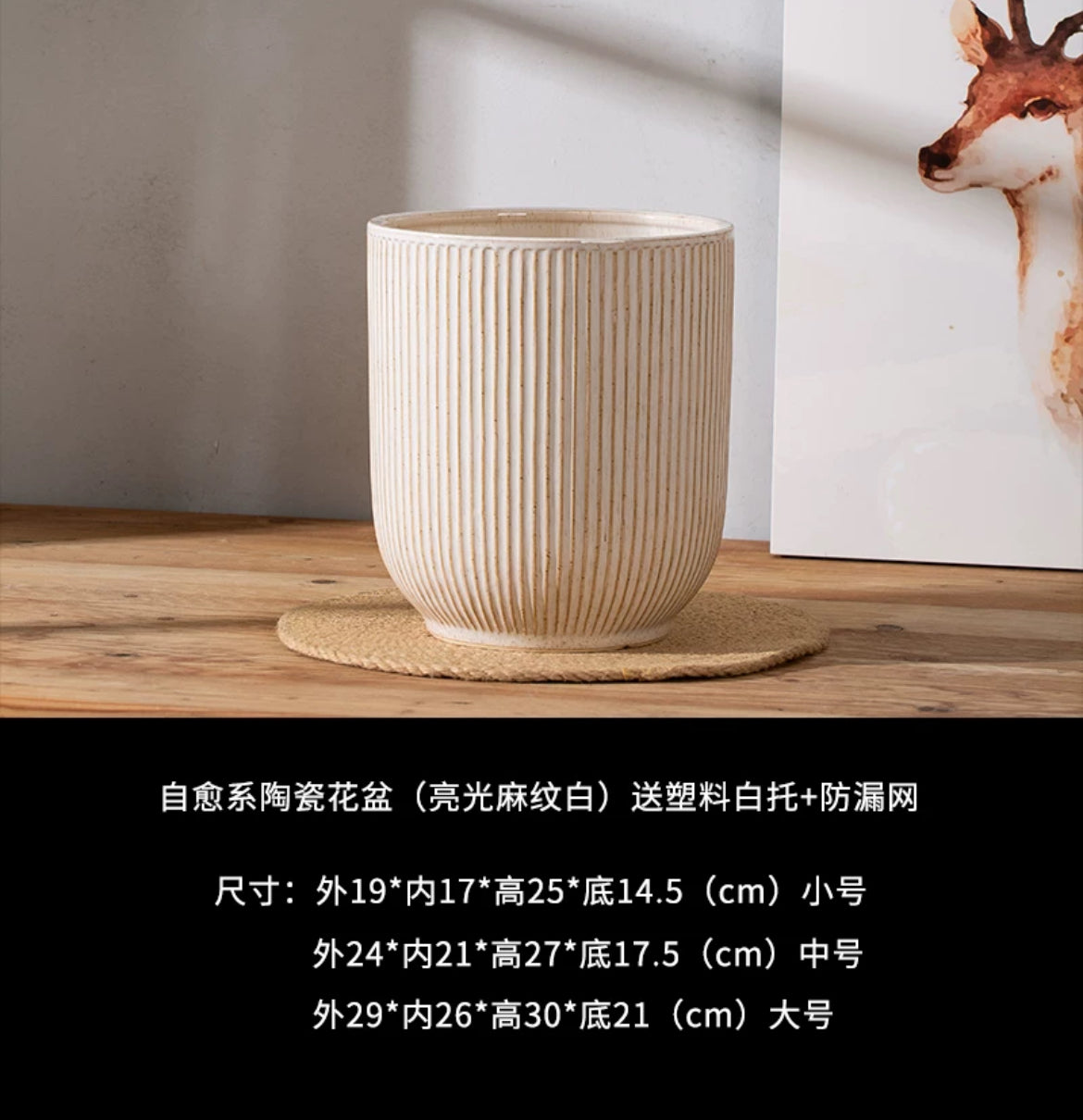 『ONEKU』 Monstera deliciosa｜龜背芋植栽 居家時尚潮流
